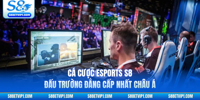 Cá Cược Esports S8 - Đấu Trường Đẳng Cấp Nhất Châu Á 1 Cá Cược Esports S8 - Đấu Trường Đẳng Cấp Nhất Châu Á